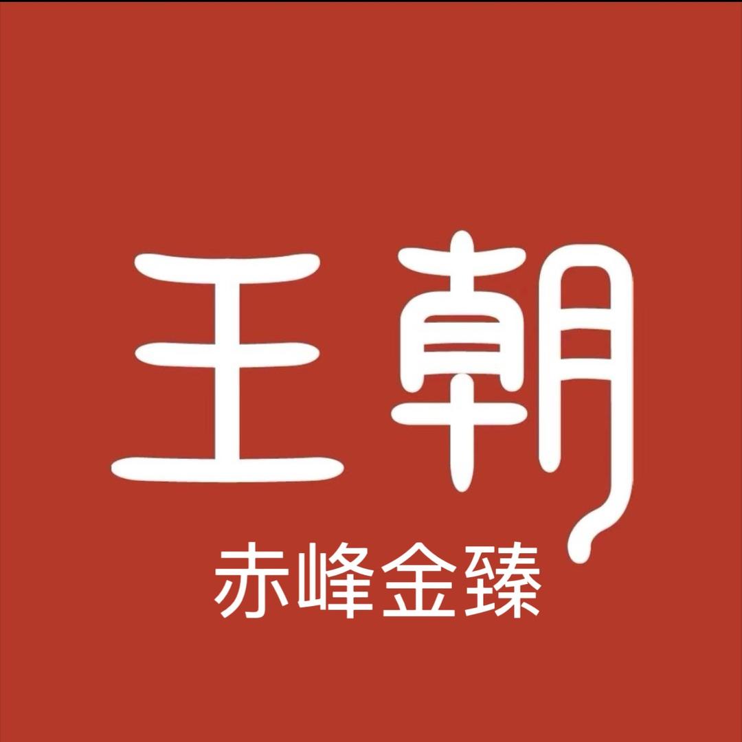 赤峰桥北金臻比亚迪
