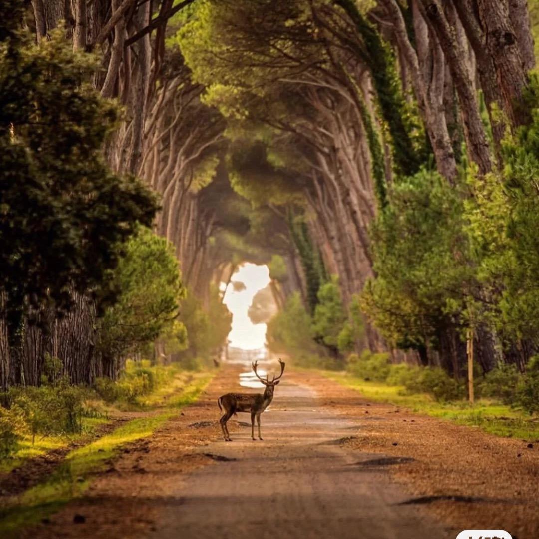 晴天娃娃很开心