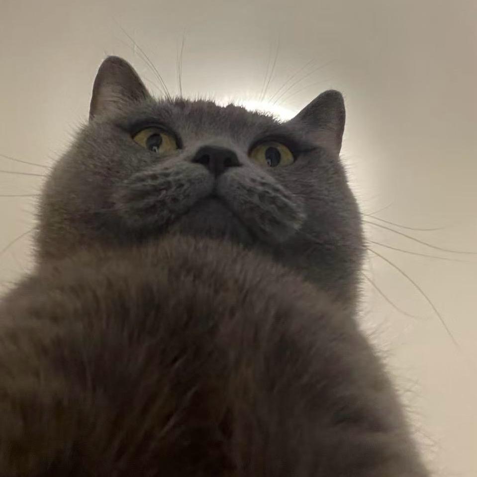 喝多最墨迹