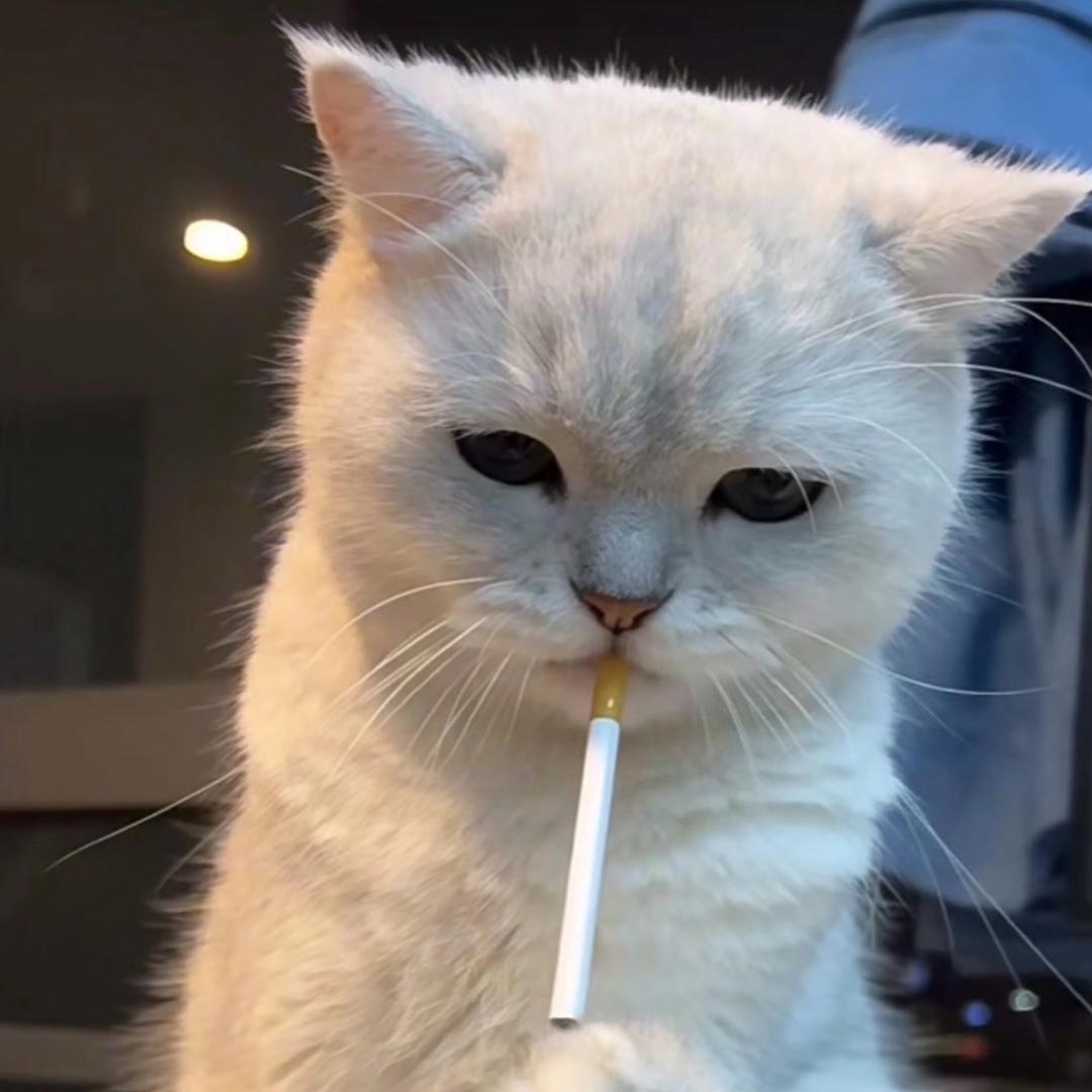 过了期末周再改名