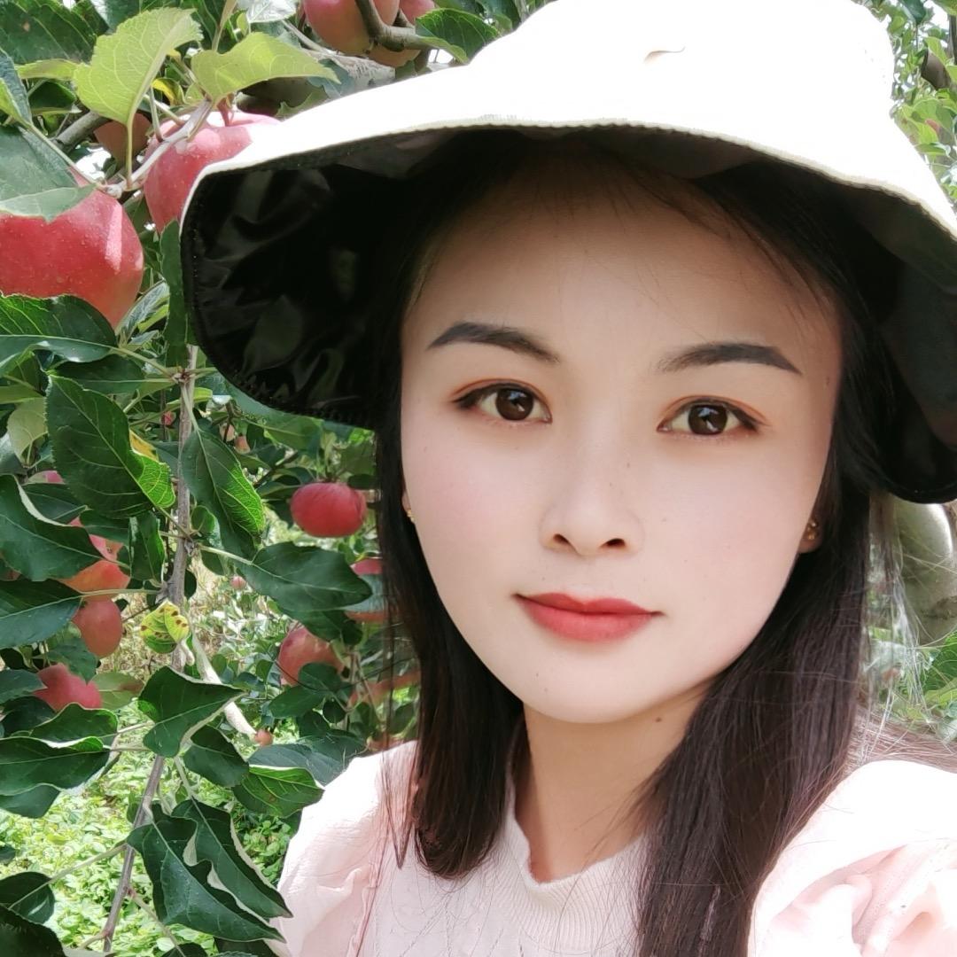 盐源苹果代办 王得月