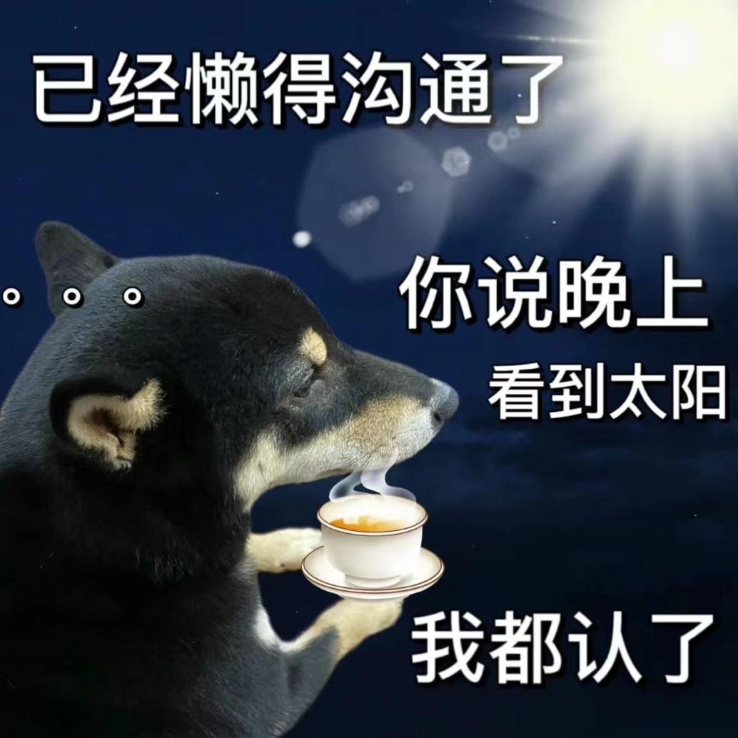 🌈陈住气