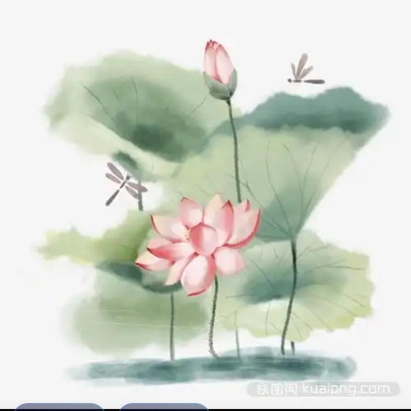 沉香若水