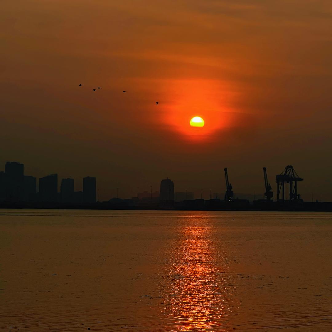 Emilʏ̆̈ 🐾🐳家姐