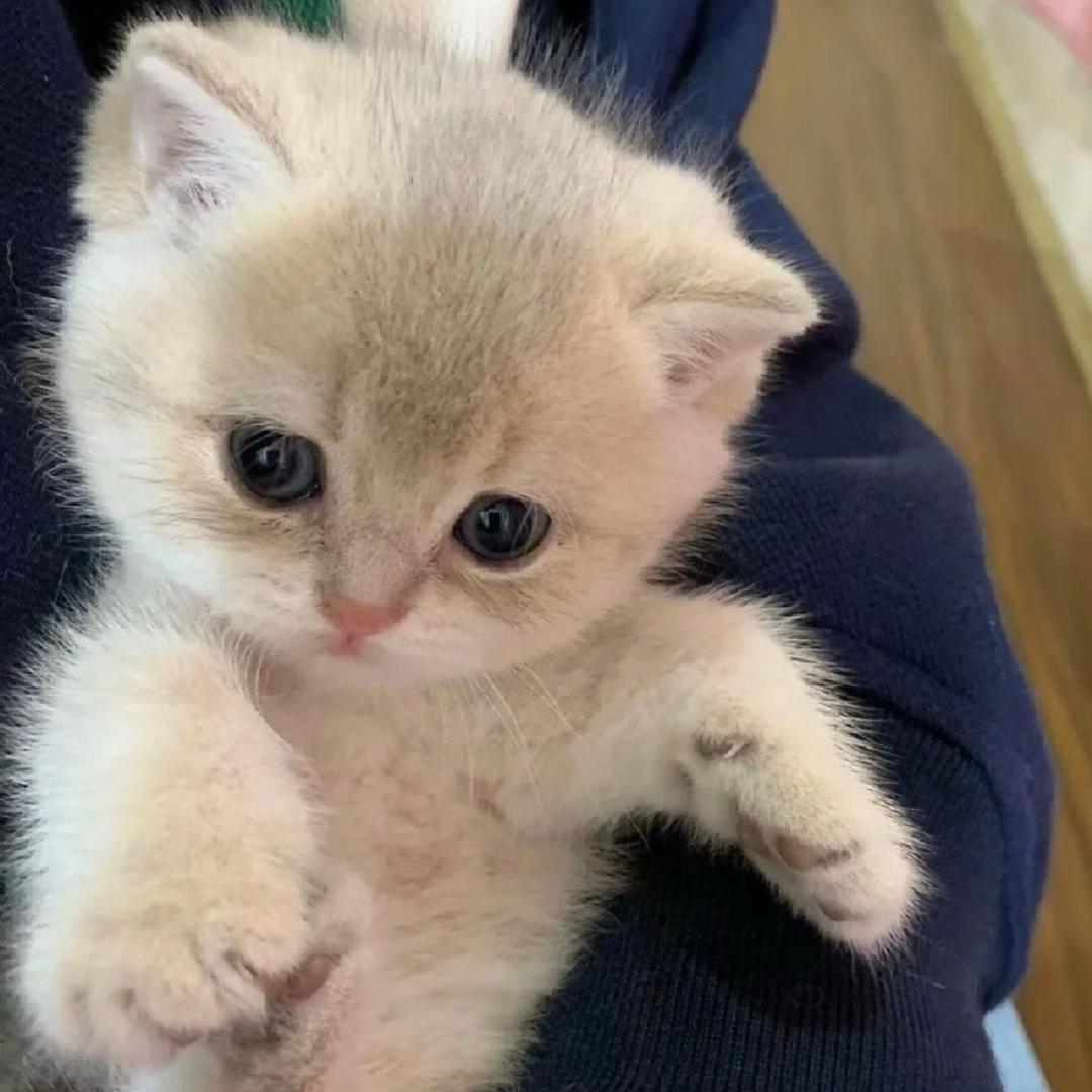 不知道取什么名