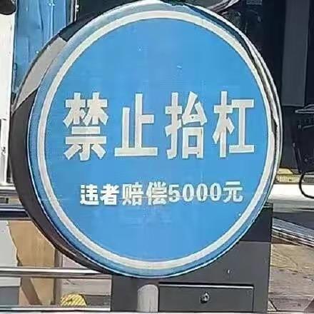 东方老赢