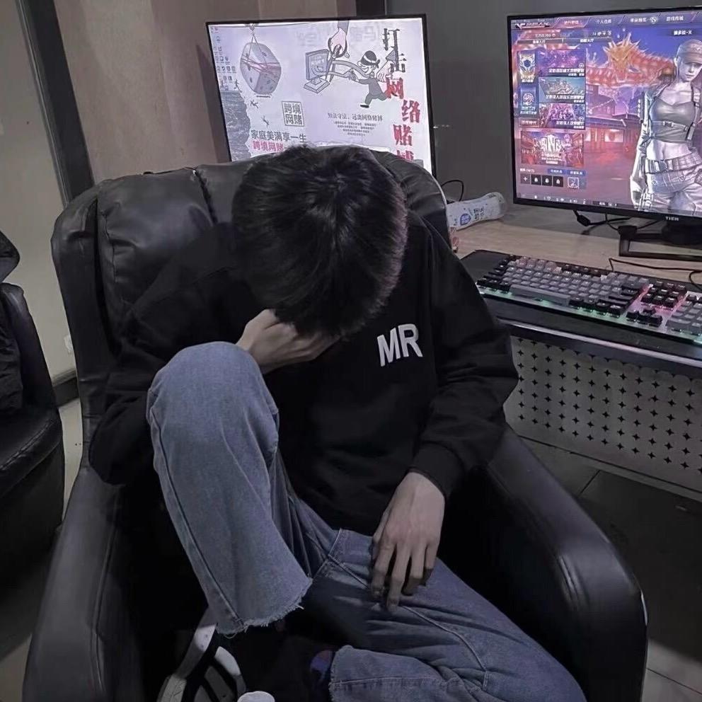 VIP董事长