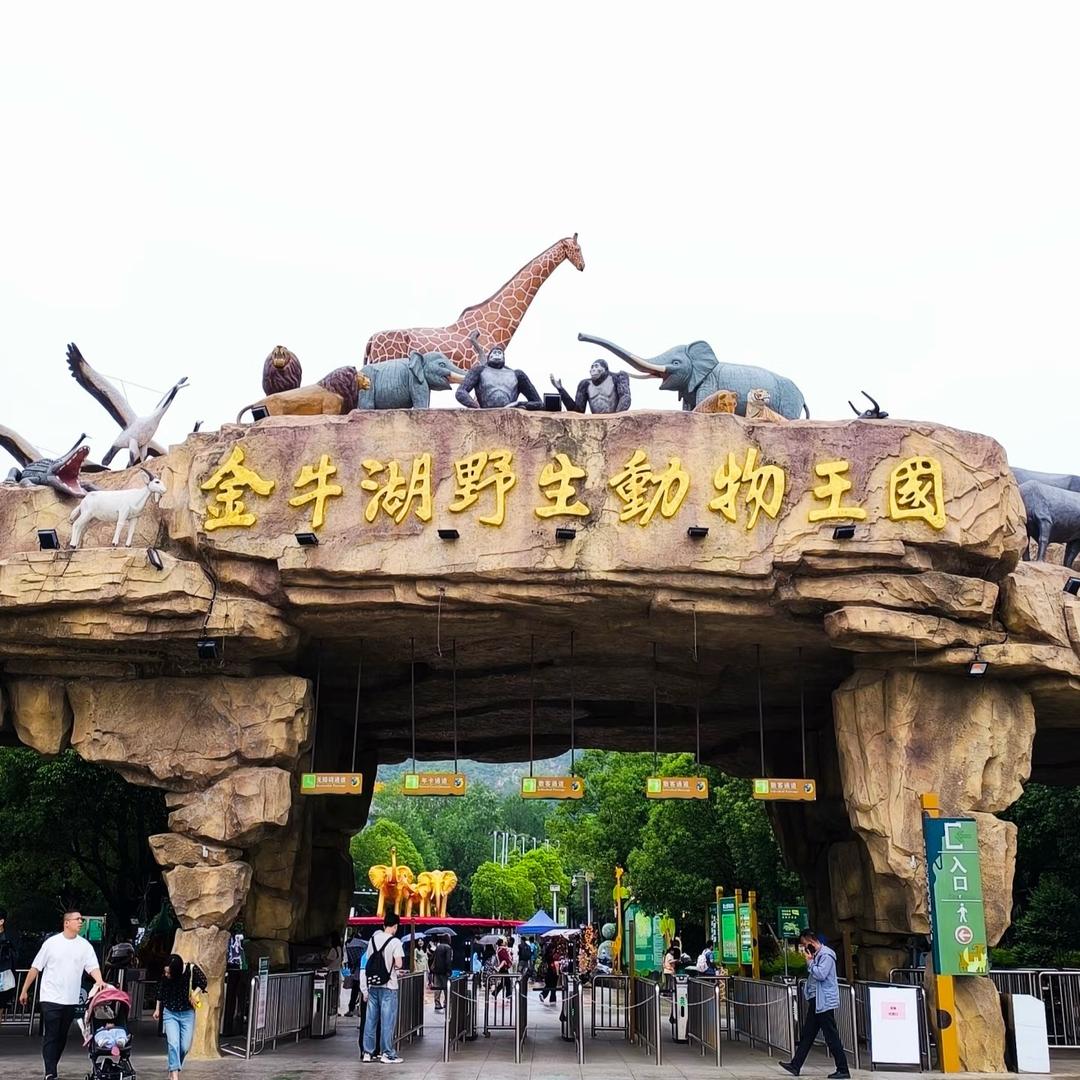 兜兜旅游团购