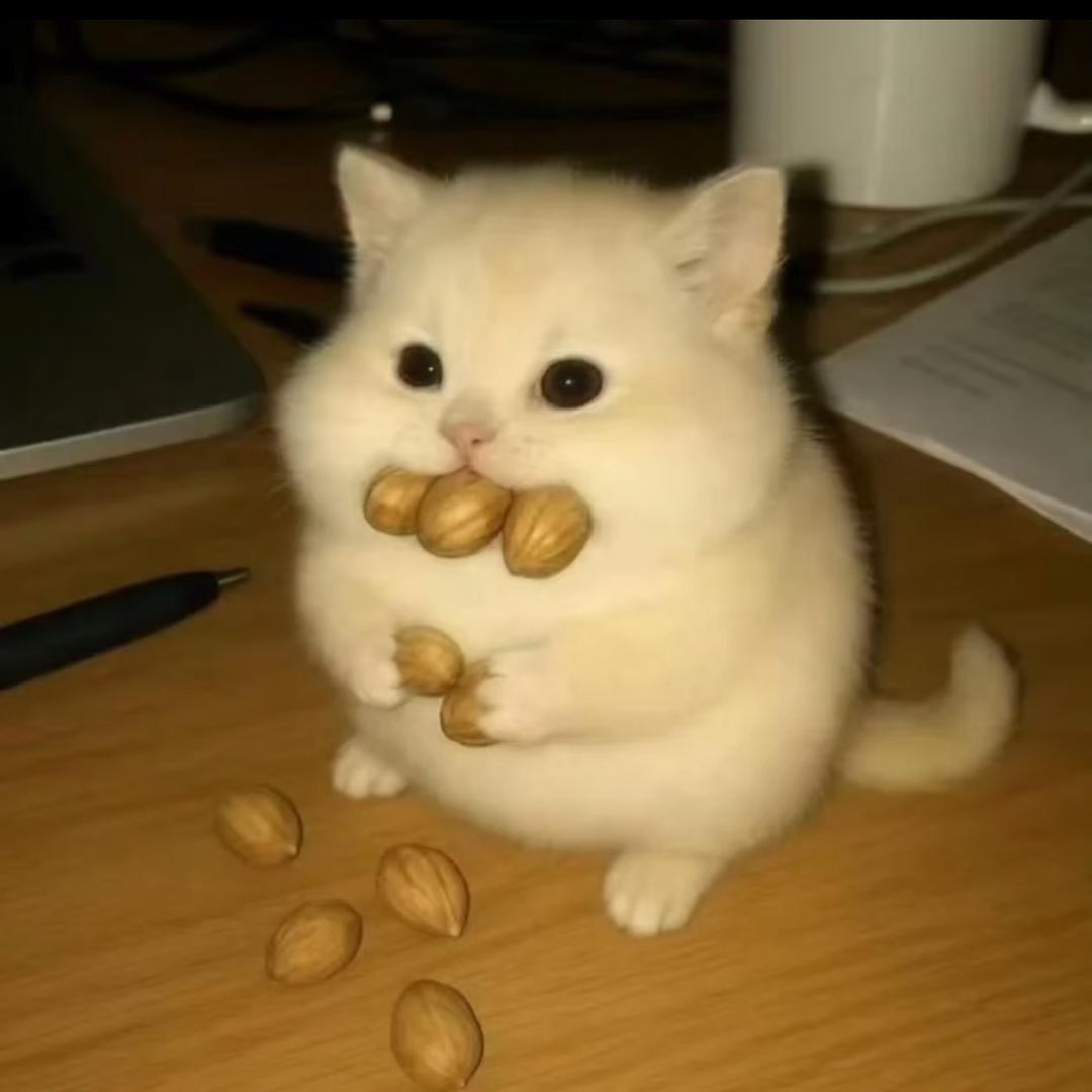 菠萝蜜大侠