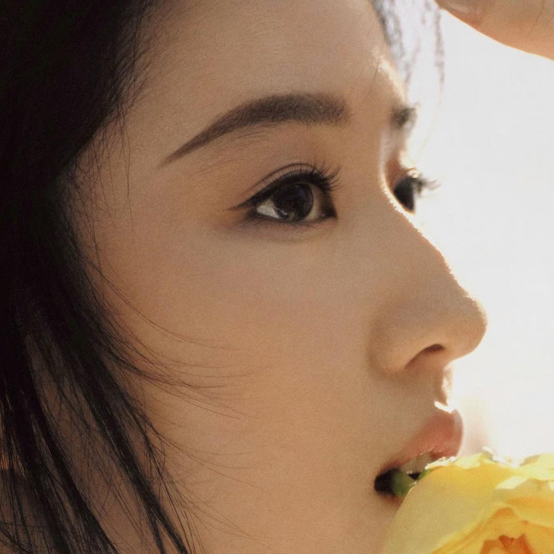 集美工作室（彩云）