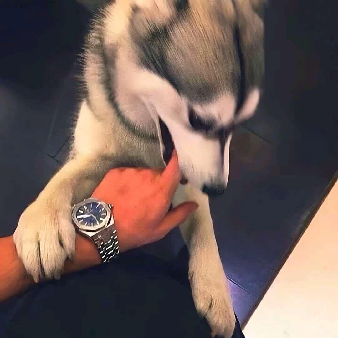 董浩轩