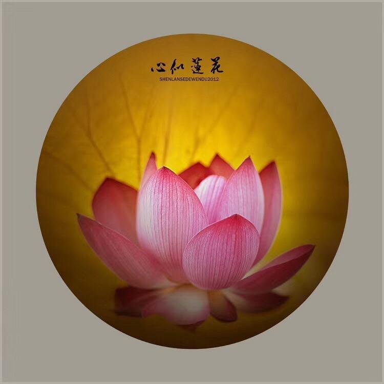 萍儿姐
