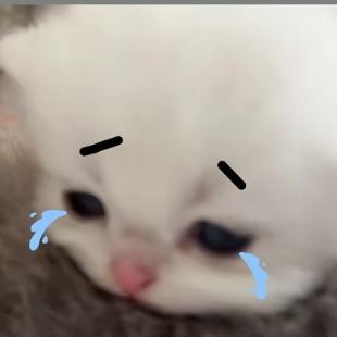 我他妈永远是坏人