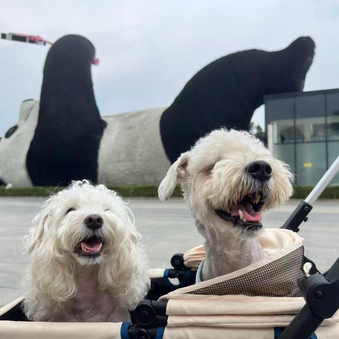 午夜心碎修勾🐶