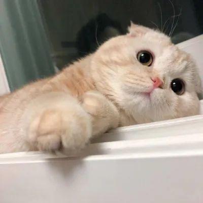静文