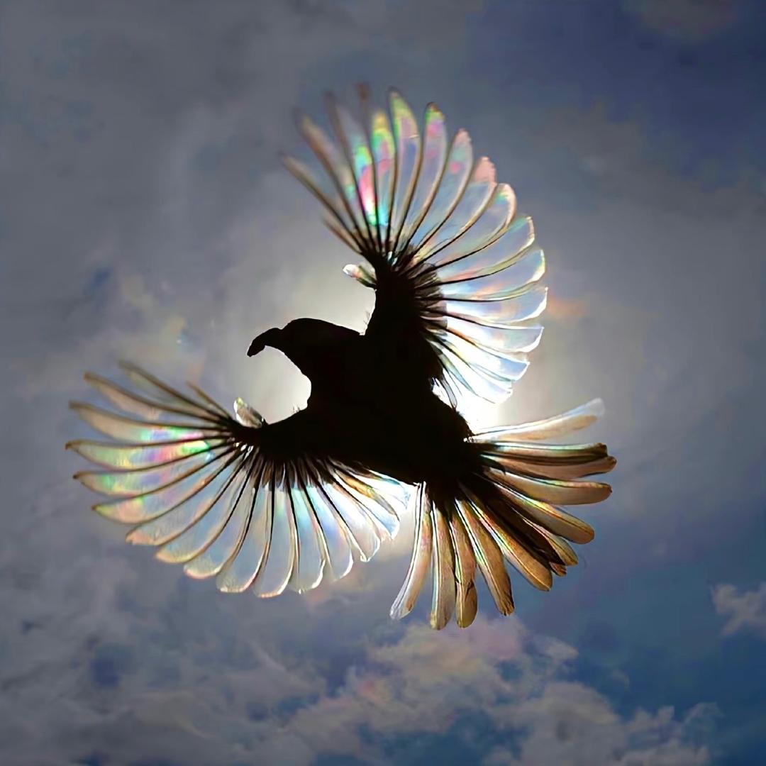 临西润凯御园小東