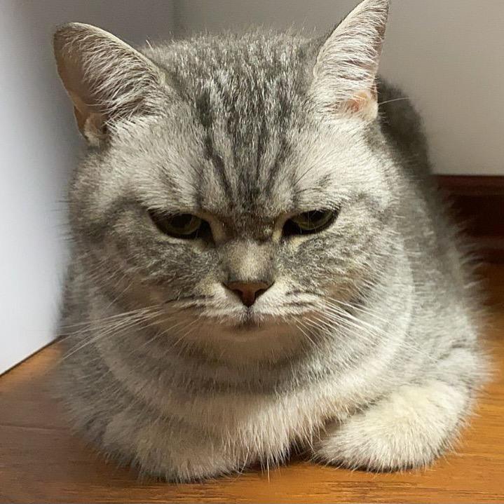 Mika_