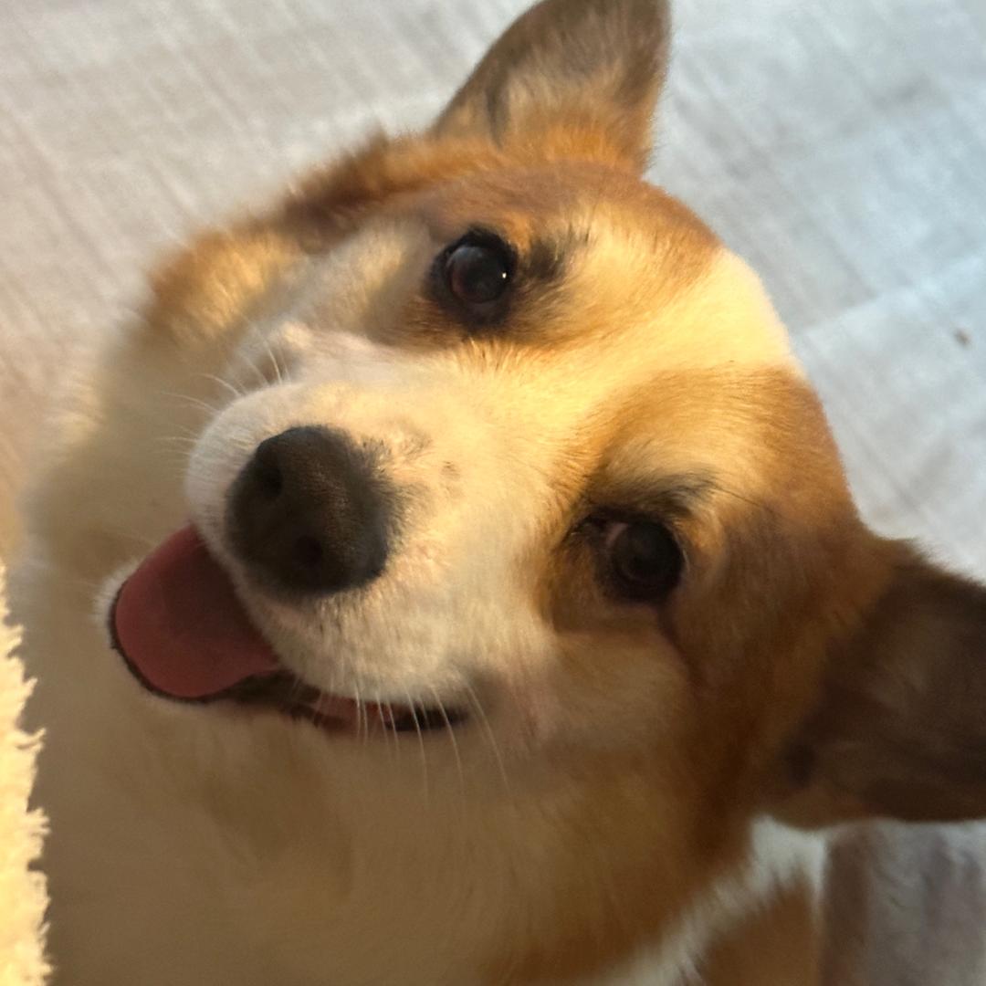 耀祖光宗