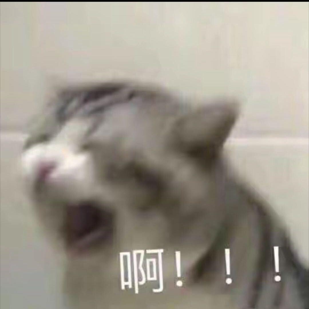 ovo(24小时纯享版）