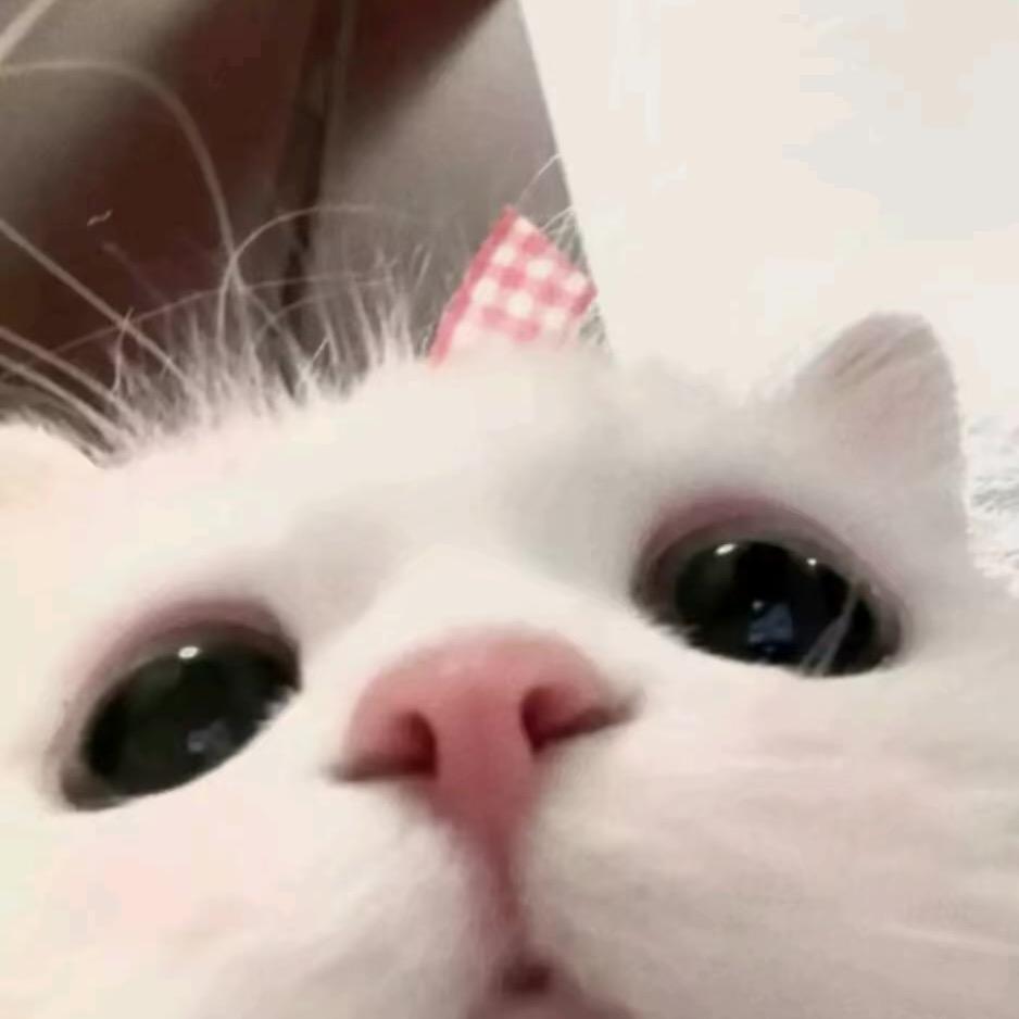 画大饼要夹里脊