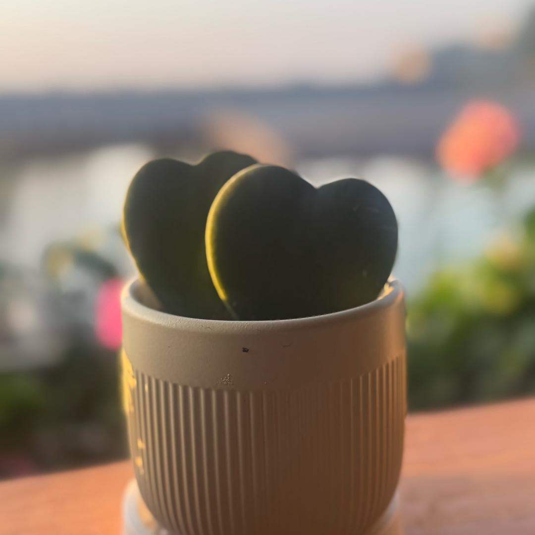 🌻