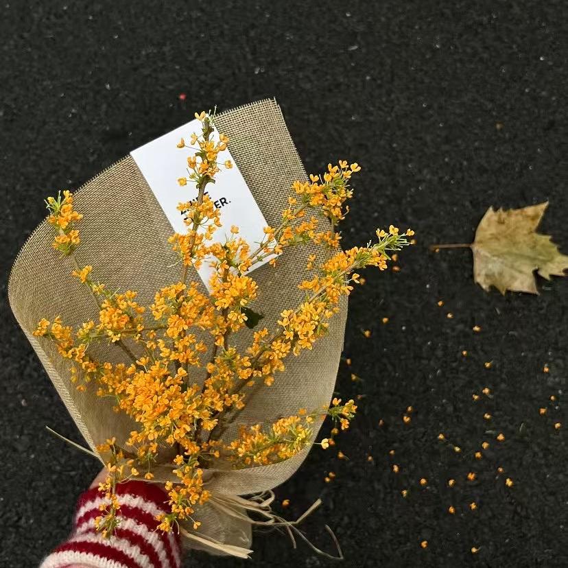 Here这里韩系女装