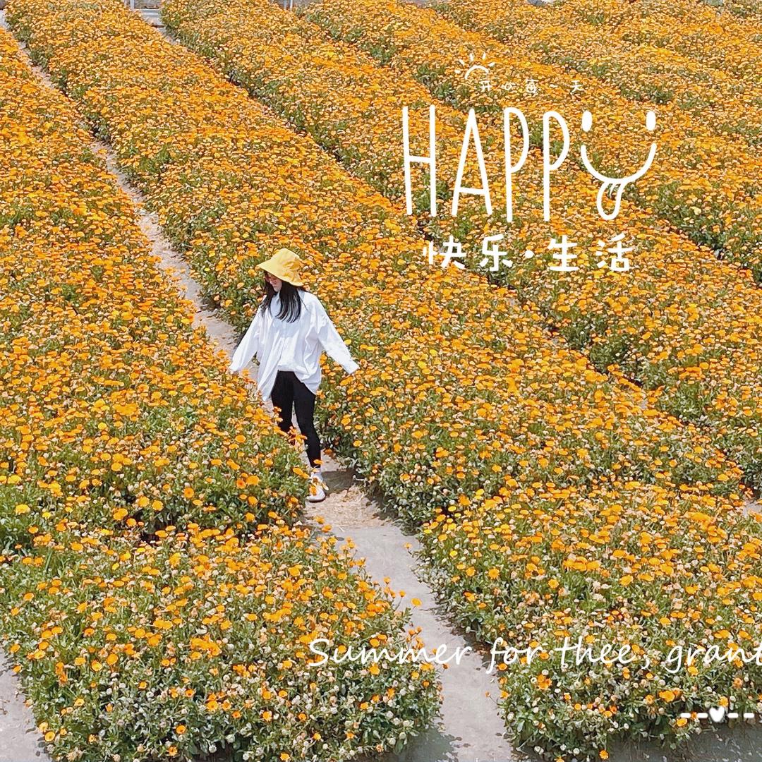 一间画室（淅河店）阿土