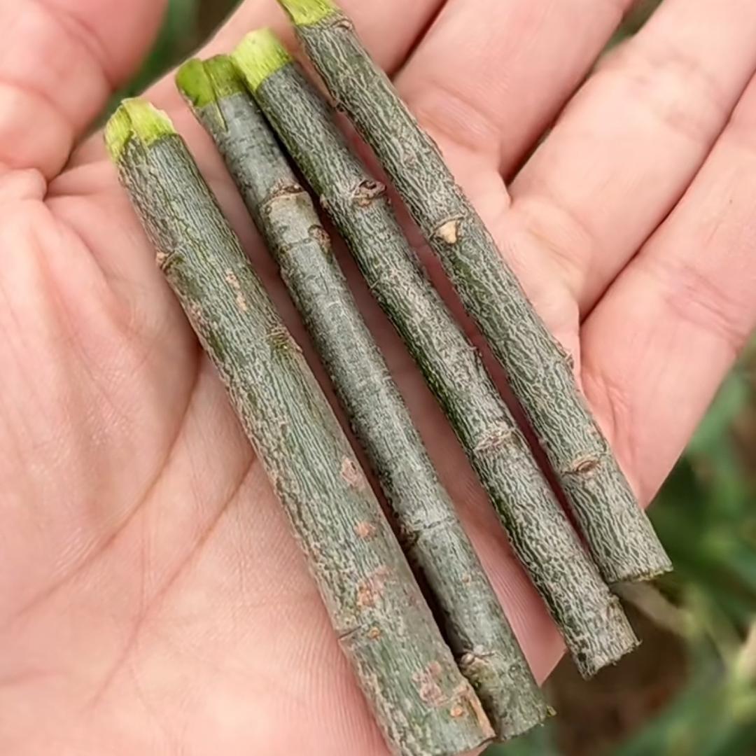 武所谓 寻找80后记忆