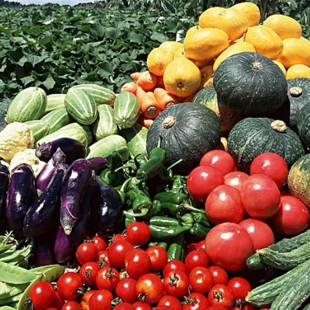 徐州花小匠园艺工厂