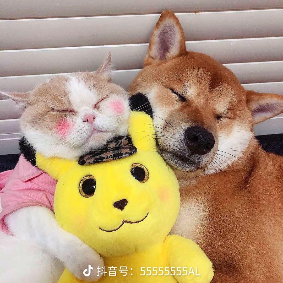 打不开罐头啊