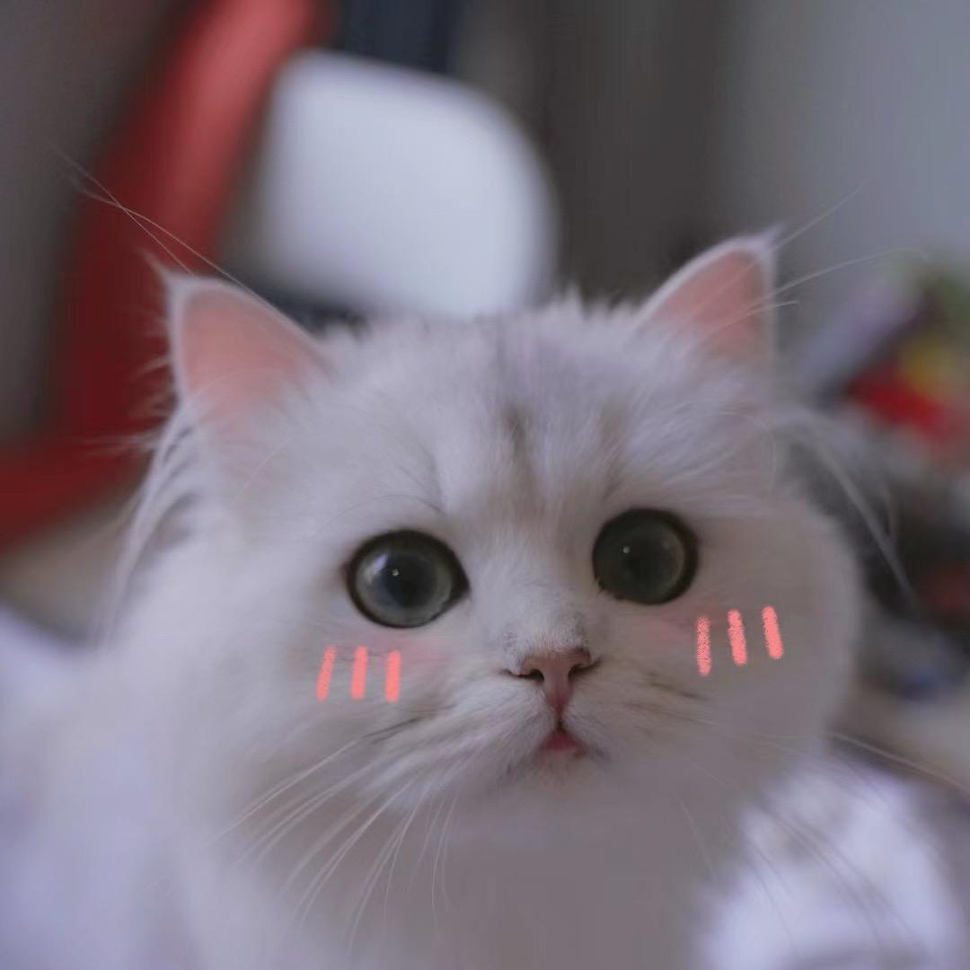 猛踹瘸子那条好腿