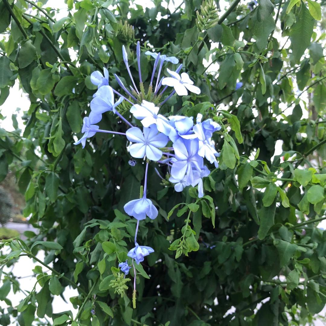 🌈星迈门窗🌻🌻🌻