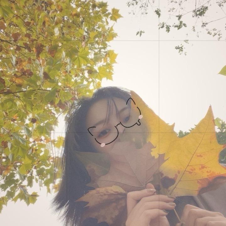 @空心菜✨