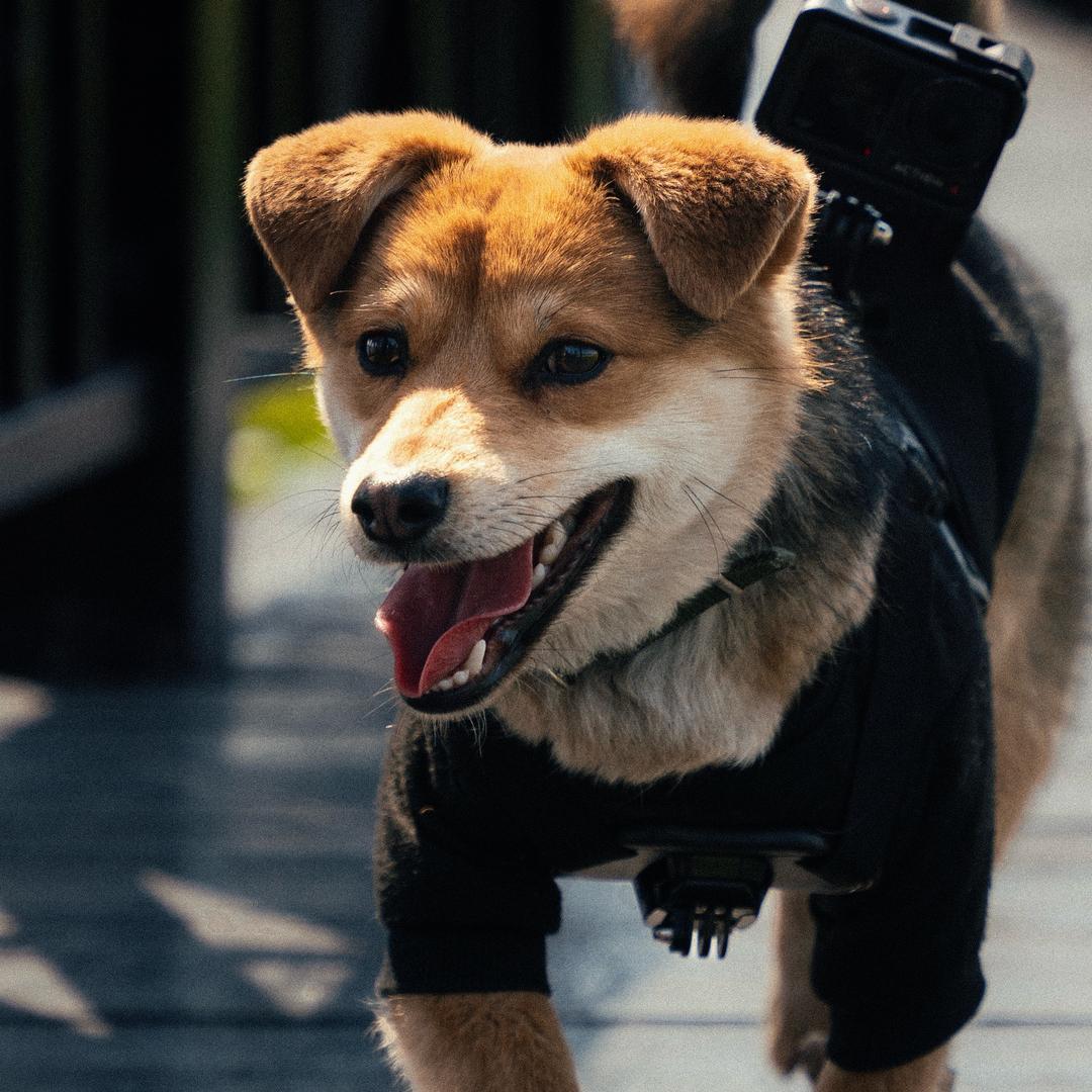 發財来咯