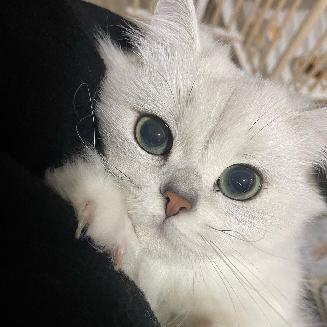 小婉不想起床.（OO婉）