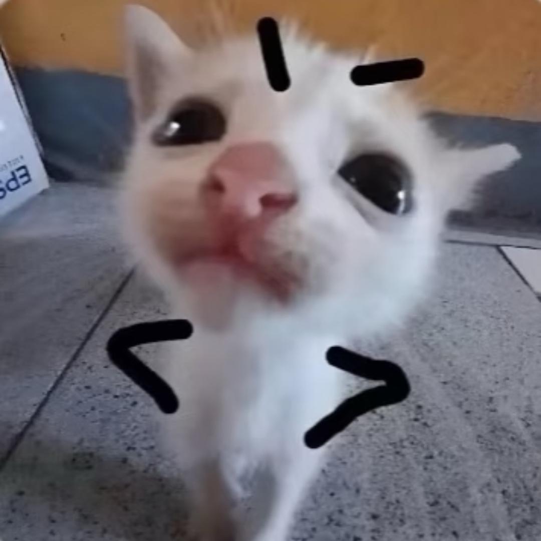 小松徐