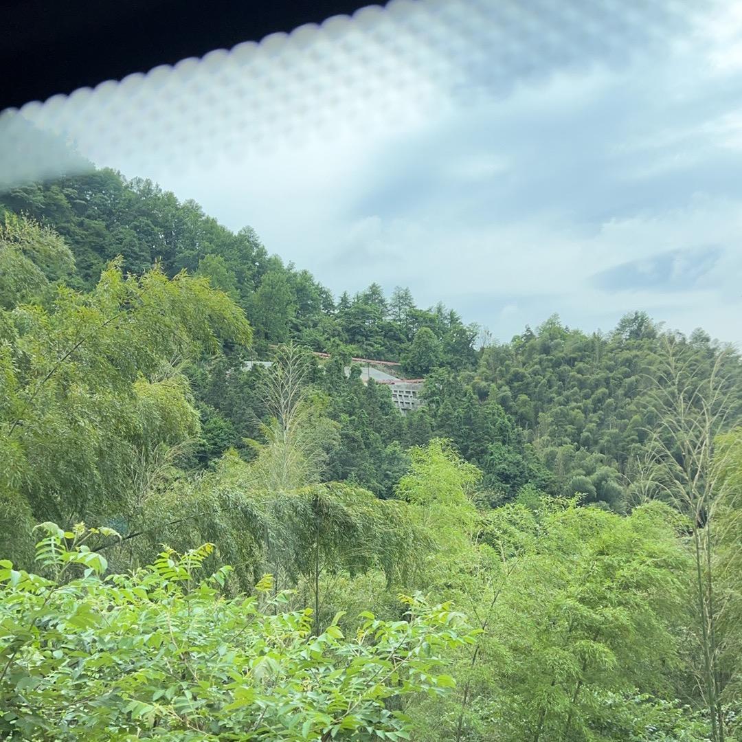 刘张小凡