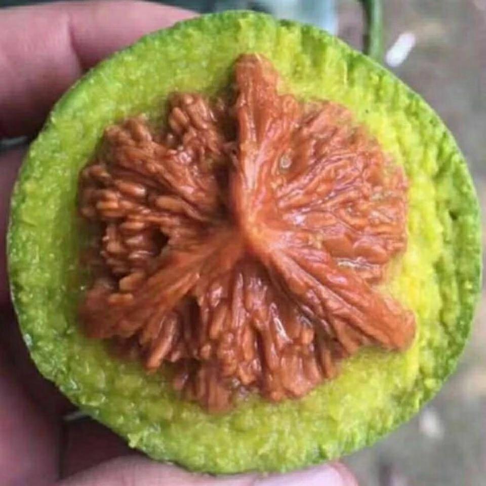 雅致工艺品精选3