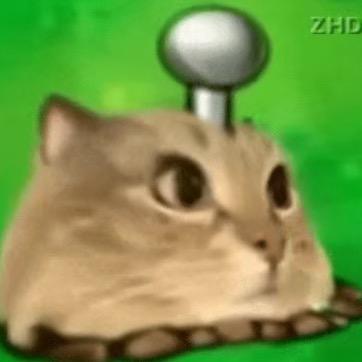 来玩