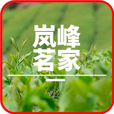 日照绿茶-岚峰茗家