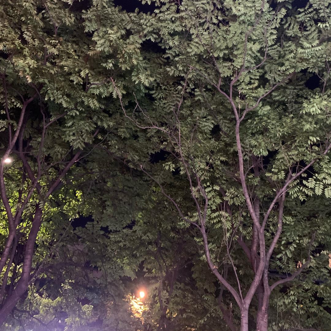 冬天的暖阳