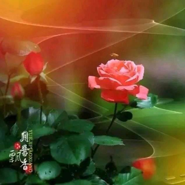 练练