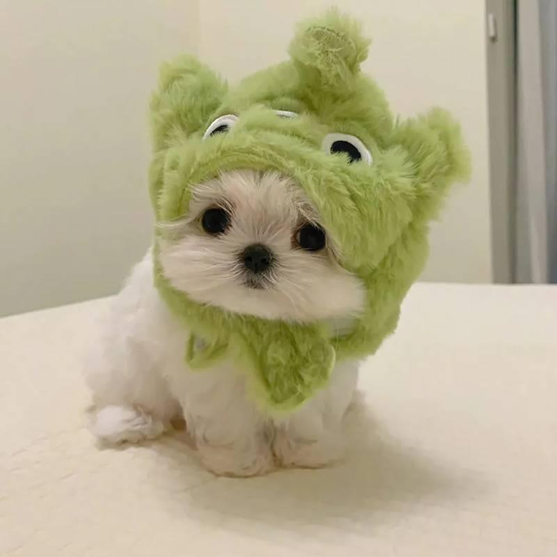 与海