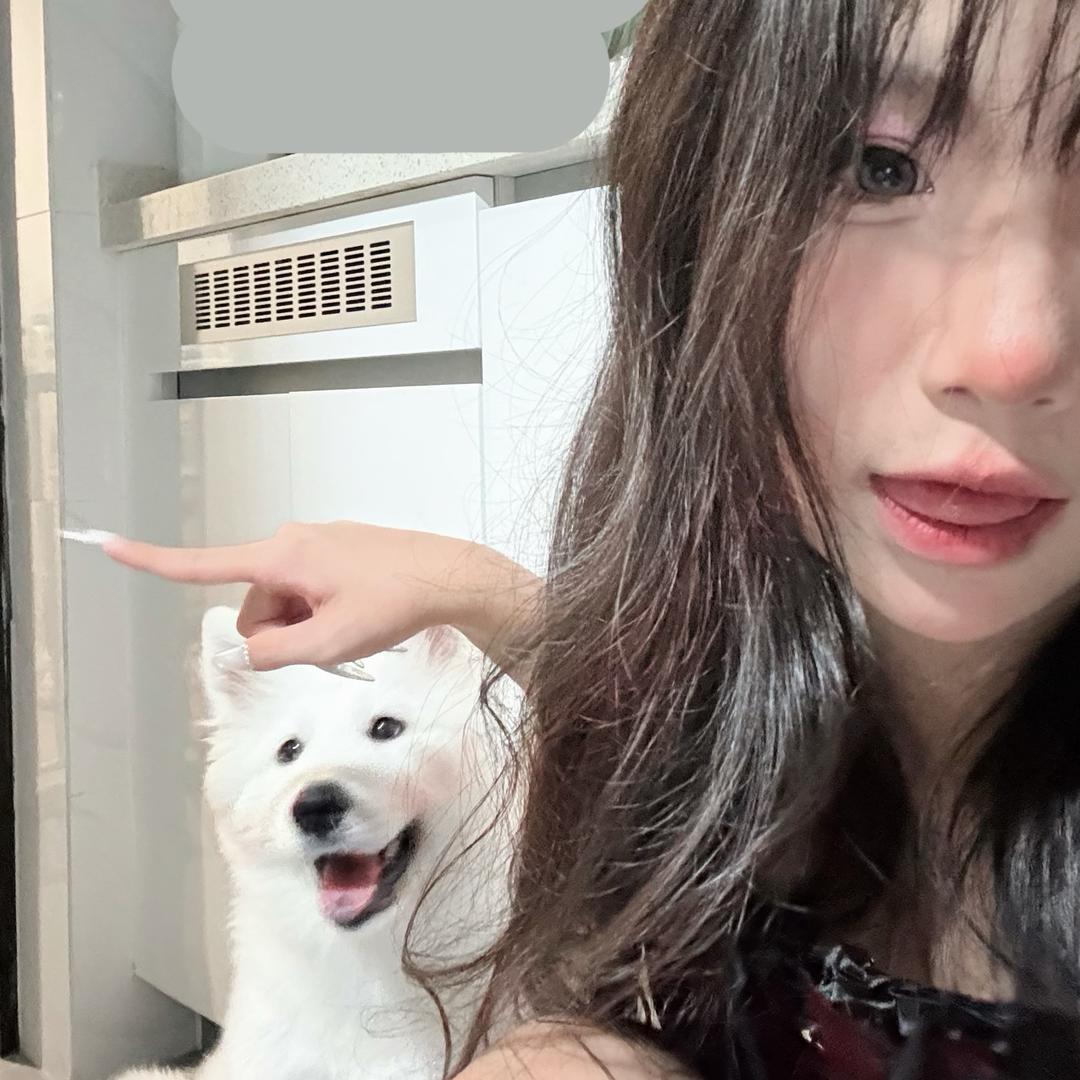 童童小丸紫