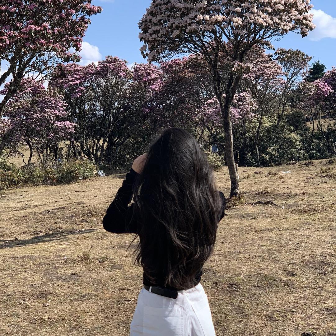 榆树下