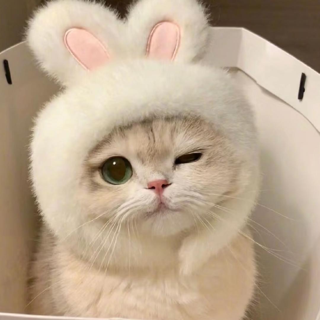 🍬甜果儿