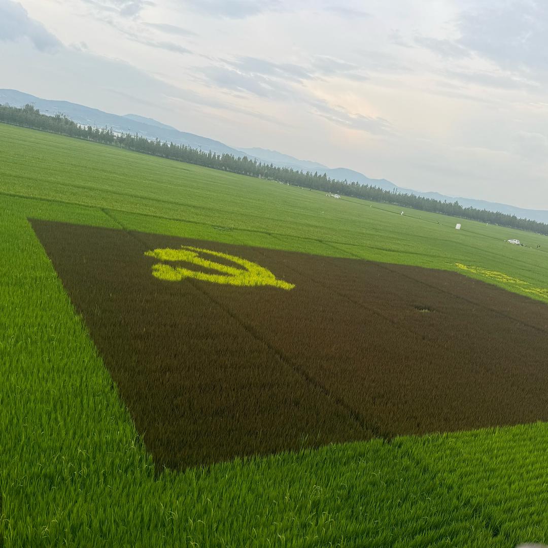 用户897300