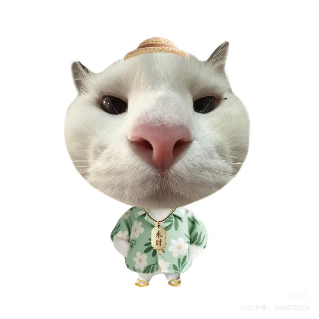 帅气型男