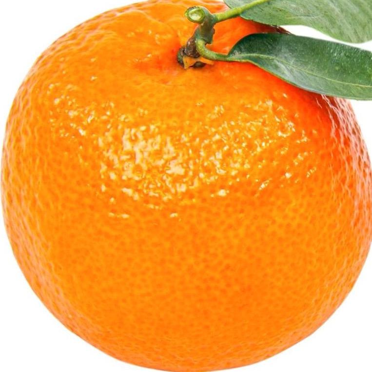 🍊