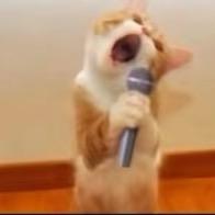 花果山社恐泪失禁纯情马喽